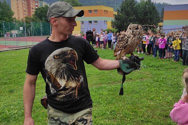 Obrázek č.54